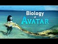 Evolutionary Biology of Pandora's Marine Life