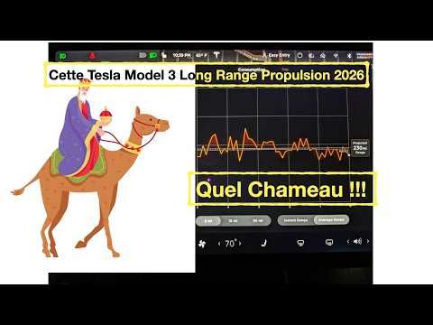 Ma Tesla ...quel chameau !