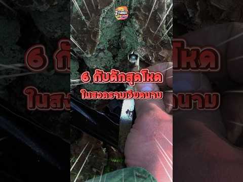 6 กับดักสุดโหดในสงครามเวียดนามที่ถูกเปิดเผยหลังผ่านไป 50 ปี