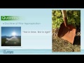 Water Management and Environmental Policies