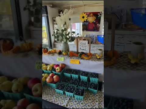 These Are the BEST Pretzels in Lancaster, PA… Fight Me 🥨🥨