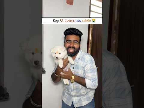 Sachin Laya Ghar Me Pilla 🐶(Dog) part-2 🙄 only dog lover's can Relate 🥺 Sachin Girdhar #ytshorts