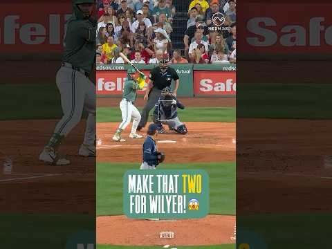 Have A DAY, Wilyer! 😤