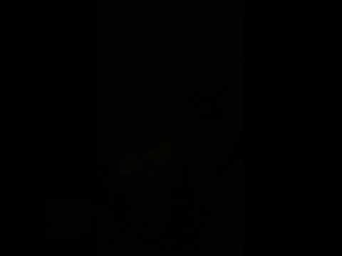 #debate #dumb #people #sides