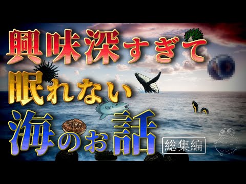 【衝撃】興味深すぎて眠れない海の話【総集編】
