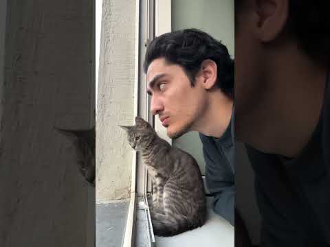 Хочу в старости с другом так-же сидеть и кайфовать от жизни