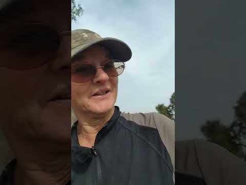 Live highlight #shorts #horse #sport #equestrian