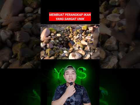 BIKIN PERANGKAP IKAN DI SUNGAI |Susilo ok #shorts