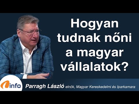 MKIK :kockázat nélkül nincs növekedés. Parragh László, Inforádió, Aréna