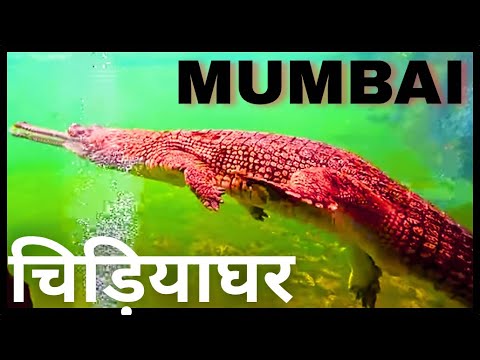 rani baug | byculla zoo | Mumbai chidiyaghar | mumbai ka sabase bada chidiyaghar| रानी बाग |
