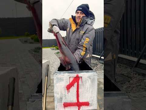 Рыбак вернулся домой. Рыбалка. Fishing. #рыбалка #shorts #рыбалка