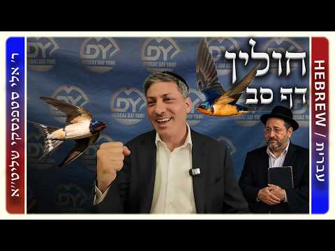 מרכז דף יומי - חולין דף סב. - ר' אלי סטפנסקי שליט"א