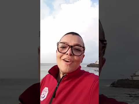 Control de Plagas - Teneplagas
