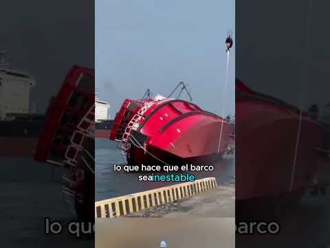 ¿Es realmente tan sencillo transportar granos en buque de carga?#youtubeshorts