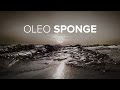 Sponge Technology for Oil Cleanup
