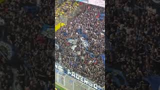 Paderborner Ultras geben alles in Dortmund #bundesliga