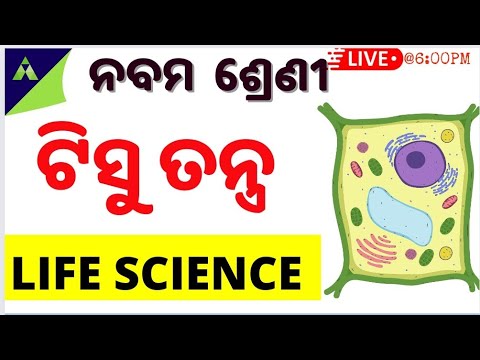 class 9 Life science in odia |ଟିସୁ ତନ୍ତ୍ର  | Chapter – 3| Tissue Tantra in odia
