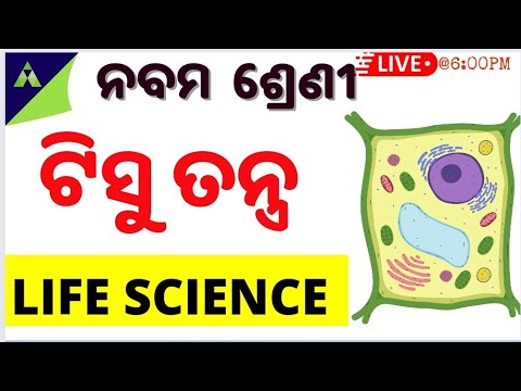 class 9 Life science in odia |ଟିସୁ ତନ୍ତ୍ର  | Chapter - 3| Tissue Tantra in odia