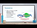 Protein Synthesis Concepts