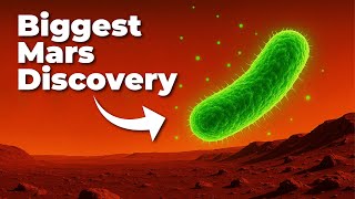 Did We Just Discover Life on Mars?
