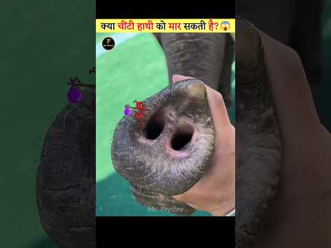 The Elephant Vs The Ant 😱