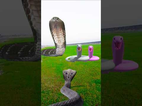 singi#mari#snake aya hara hara shambhu#snakeabya#hara Hara shambhu