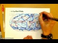 Understanding Ocean Currents and Gyres
