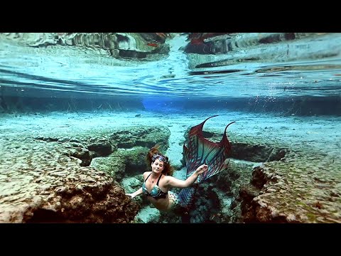 Relaxing Mermaid Aquarium