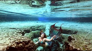 Relaxing Mermaid Aquarium
