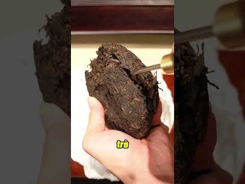 Bánh trà bị mốc có xử lí được không ? #amtusa #quytusa #tradao