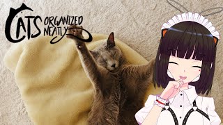 【Cats Organized Neatly】ぱずるぱずるぱずるぱずる【雑談配信】