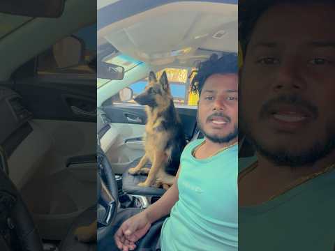 मेरा कुत्ता कितना प्यार करता है #shortvideo #shorts #amarnathsdk