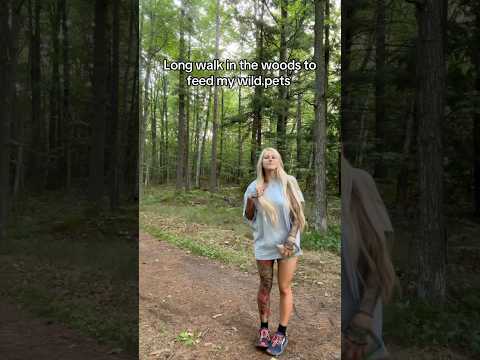 Anyone else love walks in the woods up north? Join me!