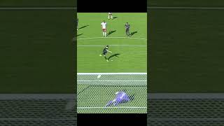 BOTAFOGO..2.. BRAGANTINO..0.. campeonato brasileiro