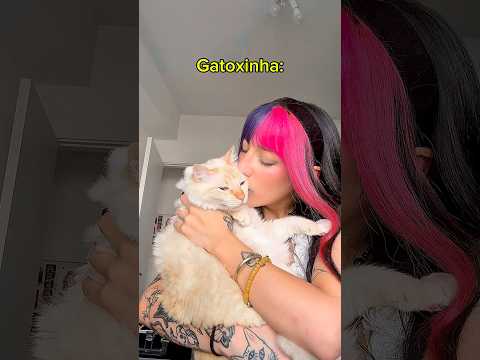 Quantos beijos os salgatos aguentam? #gatos #gatoxinha