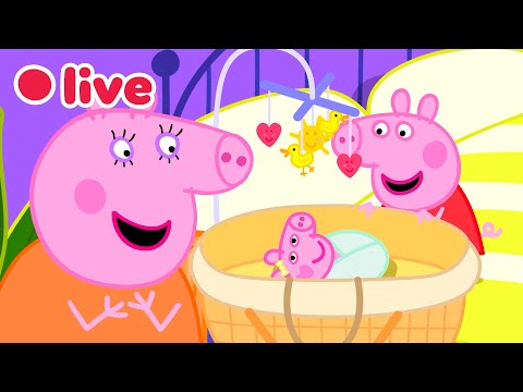🔴 Peppa Pig BÉBÉ EVIE Épisodes EN DIRECT 🍼 Meilleurs Moments d’Evie! 🥹 Dessins Animés pour Enfants