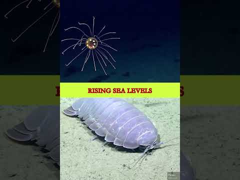 WPTS RADIO WINTER MARATHON 2026: 92.1 Leagues Under The Sea thumbnail