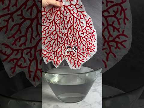 溶けて 完成する 芸術｜糸で 描かれた 驚きの 刺繍