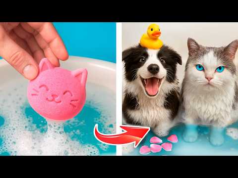 Abbiamo adottato degli animali! I migliori gadget e trucchi per pets