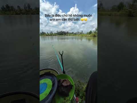 Đây là bí mật của chủ hồ câu, anh em đi làm với mình không 😤 #ducauky #cauca #fishing #camtrai