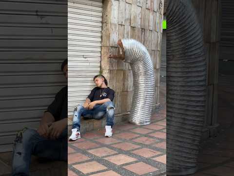 El túnel mágico y las caricias mágicas🪶😂⁉️ The magic tunnel and the magical caresses🪶😂!?️
