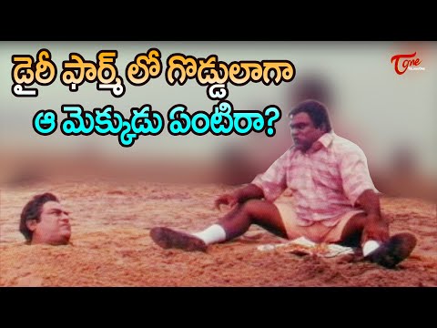 కోట & బాబు మోహన్ ఆల్ టైం హిట్ కామెడీ | Kota Srinivasa Rao And Babu Mohan Comedy Scenes | NavvulaTV