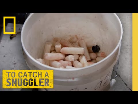 🔴 LIVE: Fentanyl, Looted Gold, & Cocaine-Filled Fish | To Catch a Smuggler | S4 FULL EPISODES