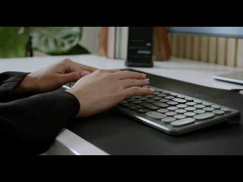 Desktop Keyboards for Everyday Use