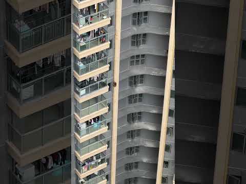 不用去动物园也能免费看马喽了🐒#funny #funnyvideos