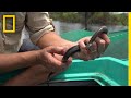 Tonle Sap Lake Ecosystem Insights