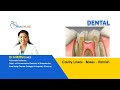 Dental Restoration Techniques and Concepts