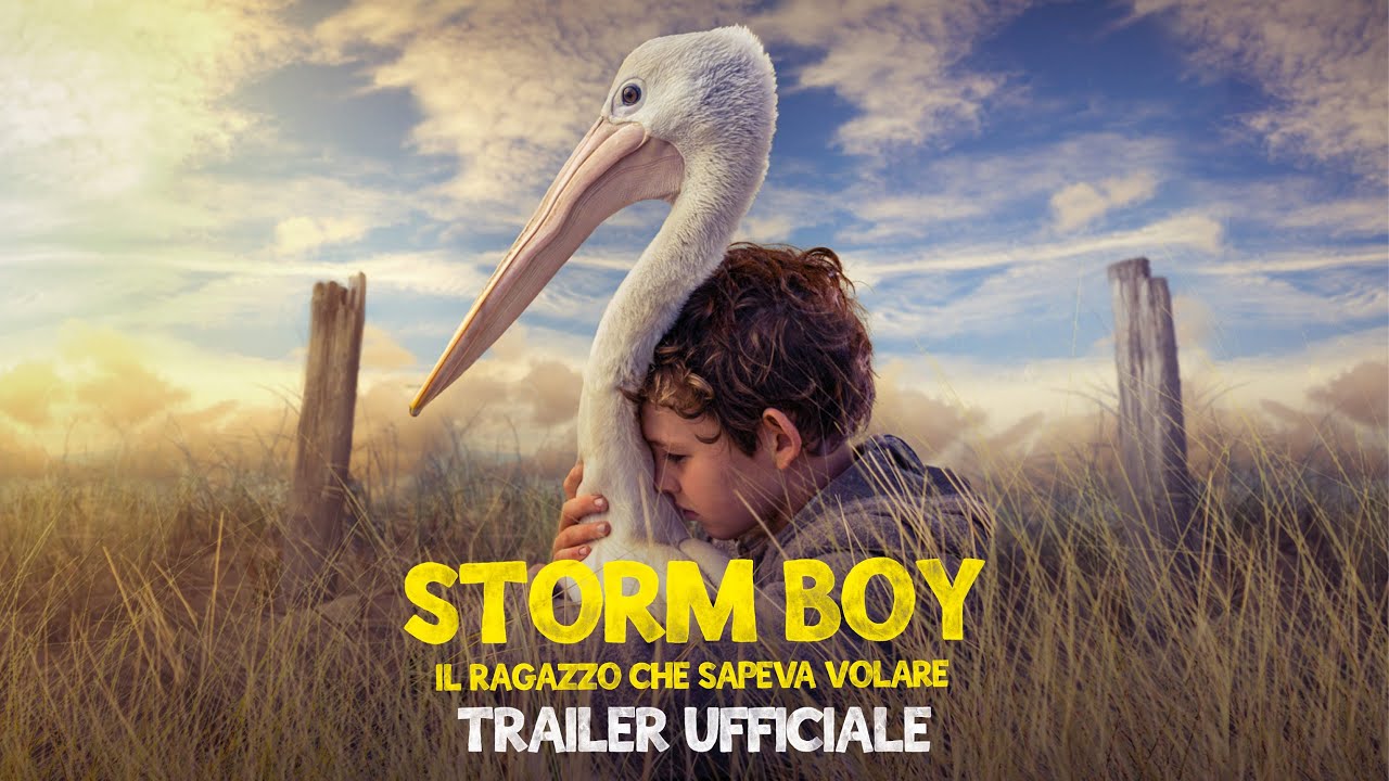 Storm Boy - Il ragazzo che sapeva volare anteprima del trailer