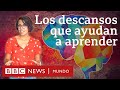 Estrategias de Aprendizaje Eficiente