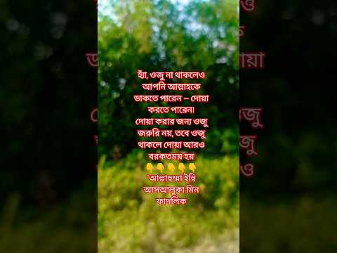ওজু না থাকলে দোয়া করলে কবুল হয় কি? 🤔#দোয়া #ওজু #IslamicQuestion #shortvideo #motivation